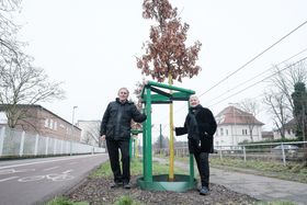 Landeshauptstadt Düsseldorf/Michael Gstettenbauer