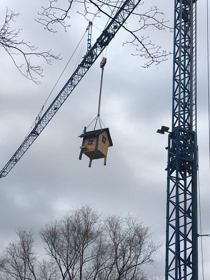 Spielgeräte fanden schon den Weg auf das Kita-Dach an der Düsselthaler Straße