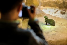 Aquazoo Löbbecke Museum