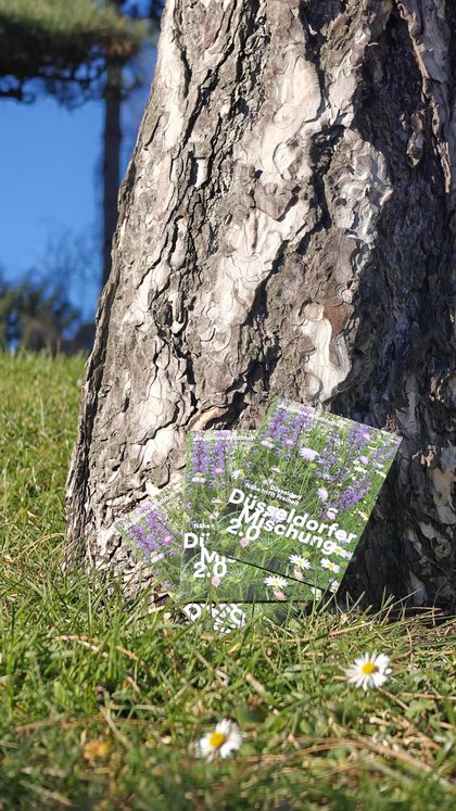 Die Düsseldorfer Mischung 2.0 im Saatguttütchen vor einem Baum  © Christiane Dase