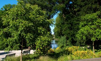 Blick über die Goldene Brücke