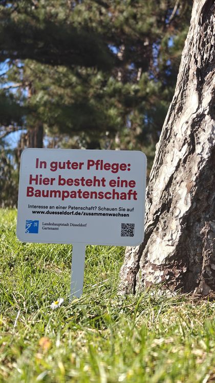Ein Baumpatenschaftsschild steckt vor einem Baum in der Wiese.