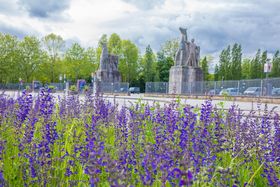 Landeshauptstadt Düsseldorf/Gartenamt