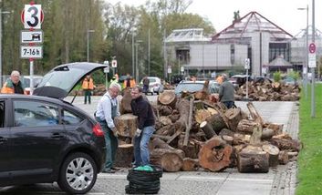 Brennholztag