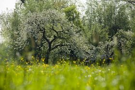 Landeshauptstadt Düsseldorf/Garten-, Friedhofs- und Forstamt