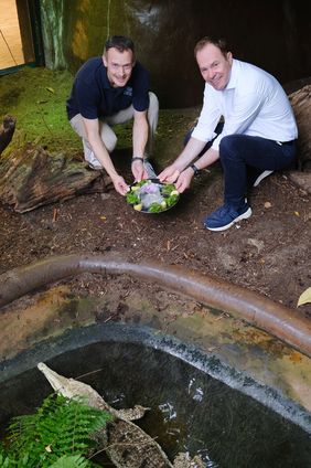 Dr. Reiter und Dr. Keller hocken im Gehege des Krokodils, das vor ihnen im Wasser liegt. Die beiden Männer halten die Geburtstagstorte auf einem silbenren Tablett in ihren Händen.