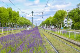 Landeshauptstadt Düsseldorf/Gartenamt