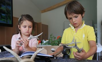 Neue Waldschule mit spannenden Lehrmaterialien