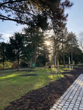 Auf dem Friedhof Heerdt ist ein neues Baumfeld entstanden. Darauf können Urnen unter Bäumen beigesetzt werden. Das Bestattungsangebot steht ab sofort zur Verfügung.