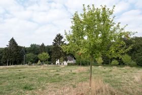 Landeshauptstadt Düsseldorf/Uwe Schaffmeister