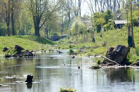 Fotowettbewerb ©Landeshauptstadt Düsseldorf