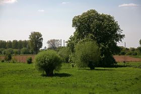 Landeshauptstadt Düsseldorf/Gartenamt