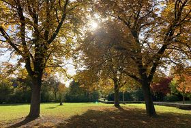 Landeshauptstadt Düsseldorf/Gartenamt