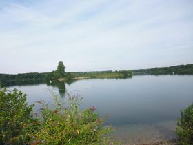 Landeshauptstadt Düsseldorf, Gartenamt