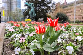 Landeshauptstadt Düsseldorf, Melanie Zanin