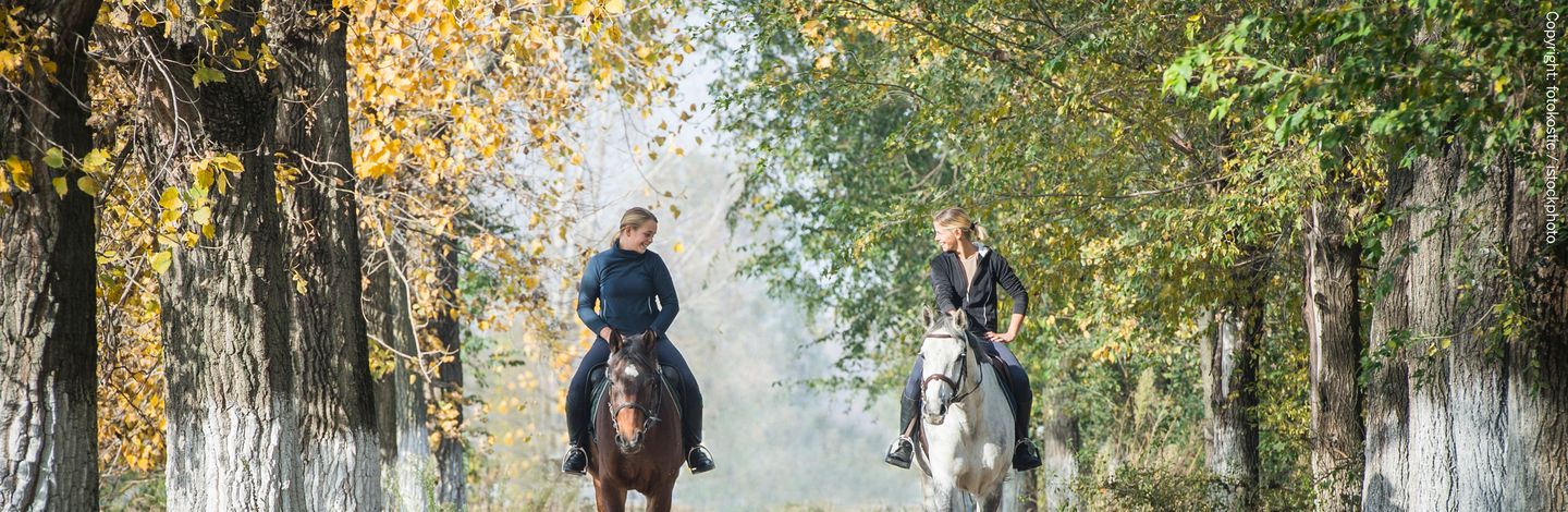 Das Reiten in der freien Landschaft oder im Wald ist in ganz Nordrhein-Westfalen nur mit gültigen Reitkennzeichen erlaubt
