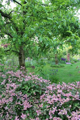 Landeshauptstadt Düsseldorf, Gartenamt