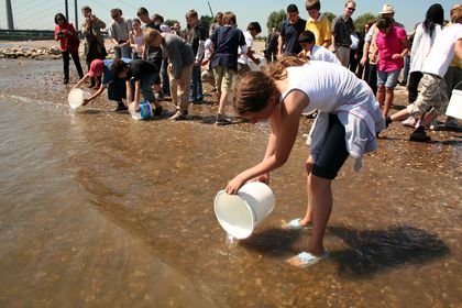 Schüler setzen Fischlarven im Rhein aus.