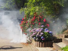 Benebelung Düsseldorf-Knittkuhl