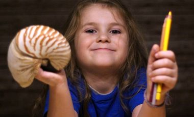 Ein Mädchen in blauem T-SHirt hält inseiner linken Hand einen Bleistift und in seiner rechten Hand die Schale eines Nautilus (Kopffüßers).