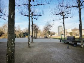 Landeshauptstadt Düsseldorf, Mobilitätsdezernat