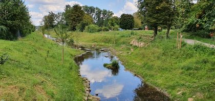 Ein Stück der renaturierten südlichen Düssel 