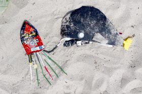 PlasticFisherman