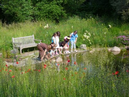 VHS-Biogarten im Südpark