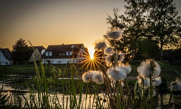 Die renaturierte Südliche Düssel bei Sonnenuntergang mit Häusern im Hintergrund.