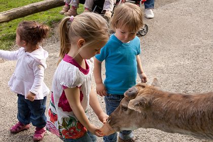 Waldschule, Wildpark Grafenberg