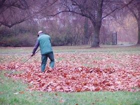 Landeshauptstadt Düsseldorf/Garten-, Friedhofs- und Forstamt