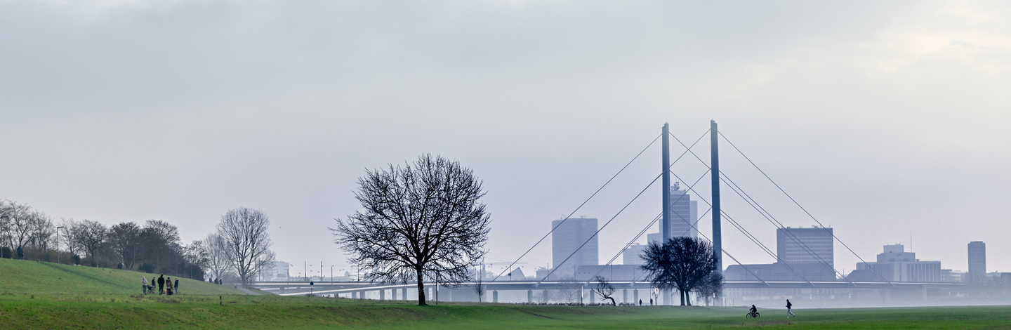 Skyline Düsseldorf im Winter