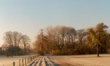 Landwirtschaftlic genutze Flächen im Park