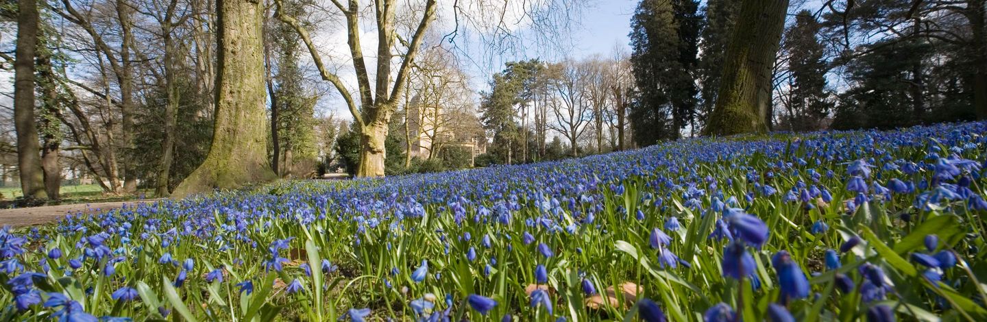 Foto Schlosspark Garath