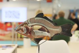Aquazoo Löbbecke Museum