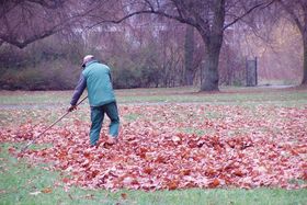 Landeshauptstadt Düsseldorf/Gartenamt