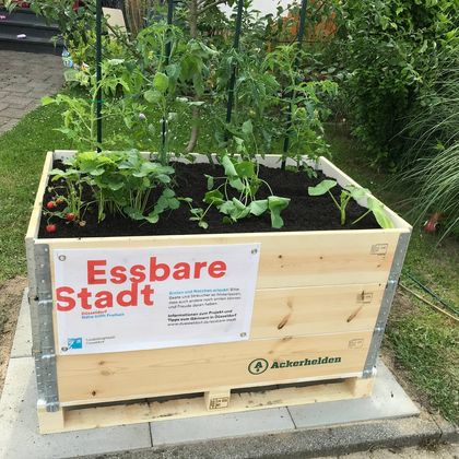 Hochbeet im Rahmen der Projektförderung Essbare Stadt der Landeshauptstadt Düsseldorf