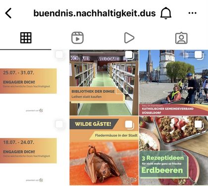 Bündnis für Nachhaltigkeit auf Instagram