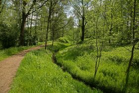 Garten-, Friedhofs- und Forstamt