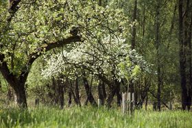 Landeshauptstadt Düsseldorf/Garten-, Friedhofs- und Forstamt