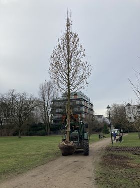 Landeshauptstadt Düsseldorf/Gartenamt