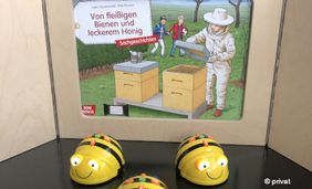 Foto mit drei kleinen Bienenrobotern und einem Kamishibai Buchtheater über Bienen und Imker.