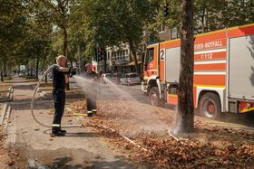 Landeshauptstadt Düsseldorf/Michael Gstettenbauer