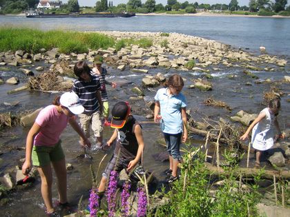 Umweltbildung zu Düsseldorfer Gewässern