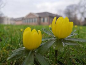 Archivbild/Gartenamt