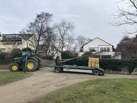 Landeshauptstadt Düsseldorf/Gartenamt