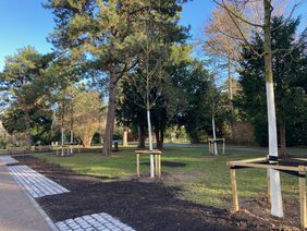 Auf dem Friedhof Heerdt ist ein neues Baumfeld entstanden. Darauf können Urnen unter Bäumen beigesetzt werden. Das Bestattungsangebot steht ab sofort zur Verfügung.