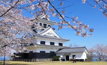 Chiba Fotogalerie Nr. 1/8