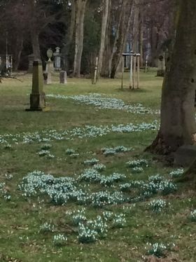 Landeshauptstadt Düsseldorf, Gartenamt