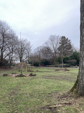 Landeshauptstadt Düsseldorf/Gartenamt